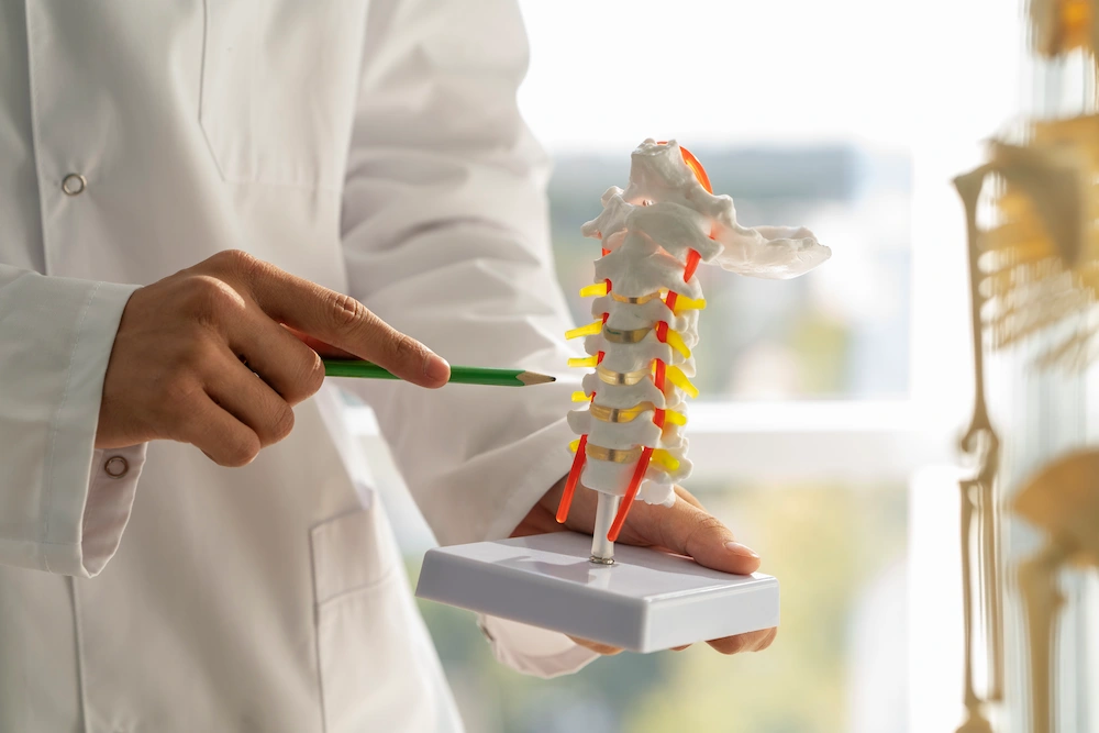 Doctor explaining spinal disc condition using spine model to show disc changes